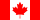 Canadian Dollar flag